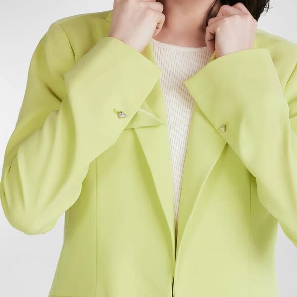 Derek Lam Wilson Relaxed Blazer in Celery. Sz 2 - Picture 1 of 11